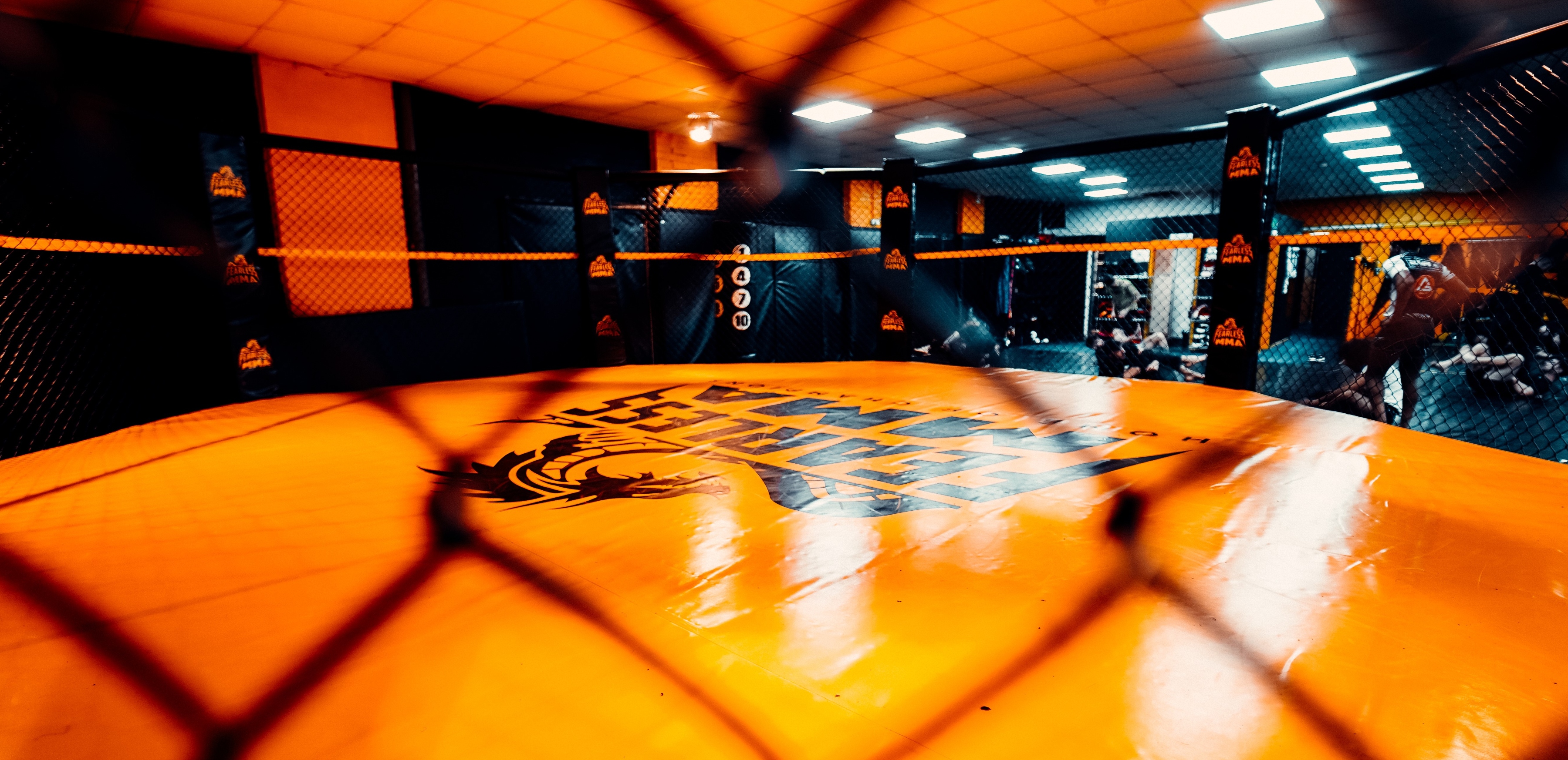 Professional MMA Cage
